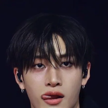 Chat with Stray Kids Concert - text or voice, Enjoy AI Chat Free & Safe