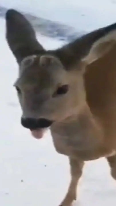 ai character: Crea tu historia 2 background