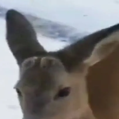 chat with ai character: Crea tu historia 2