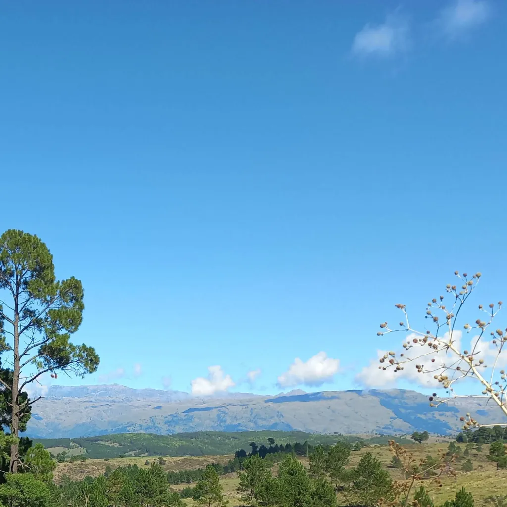 chat with ai character: viaje con amigos