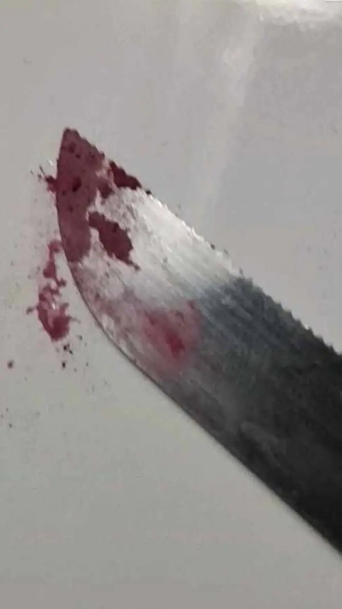 ai character: kai background