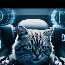 chat with ai character: Fumahonoke The Cat
