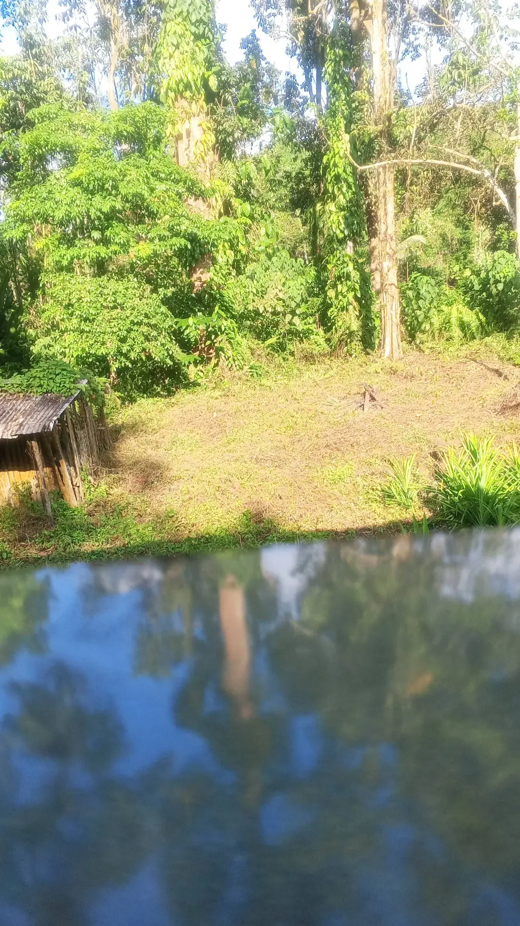 ai character: Luar biasa background