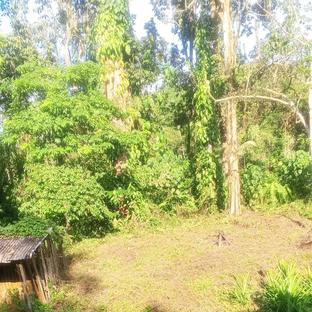 chat with ai character: Luar biasa