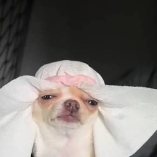 chat with ai character: Leonan Derek