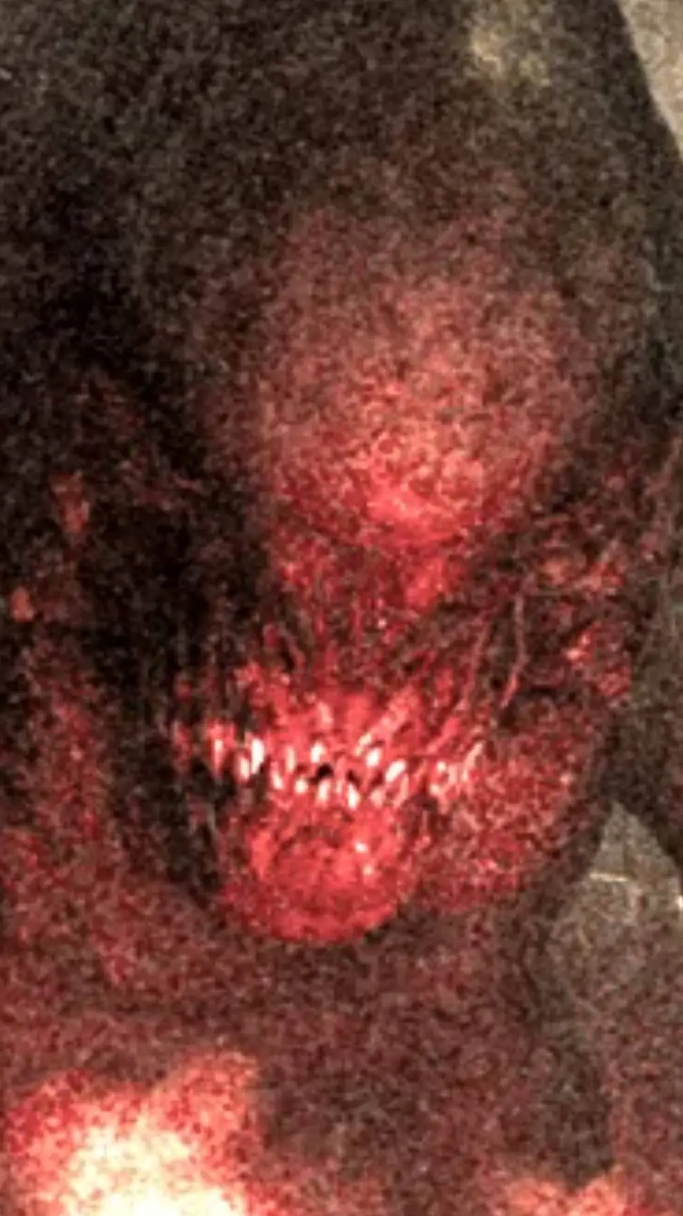 ai character: D-REX  background