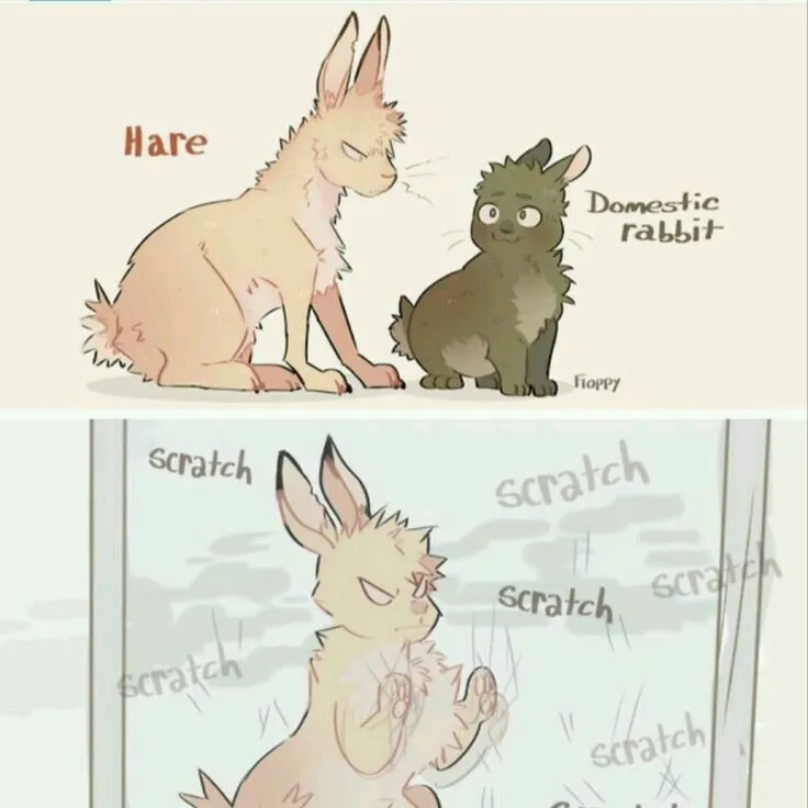 chat with ai character: Bunny Bakugo 