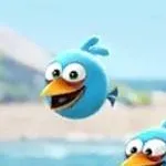 chat with ai character: The angry birds!
