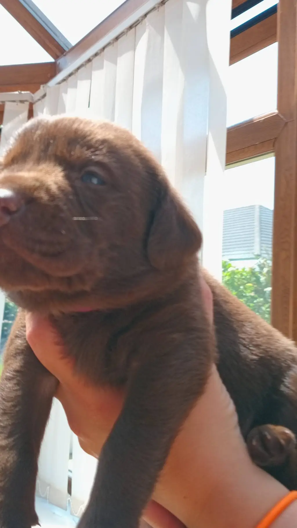 ai character: Hola kid background