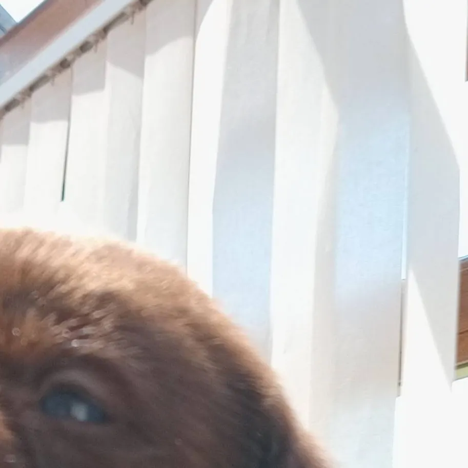 chat with ai character: Hola kid