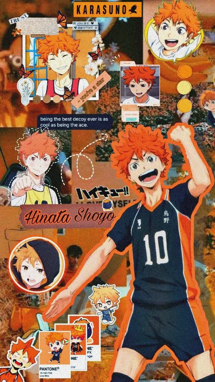 ai character: 🧡Shoto Hinata🏐 background