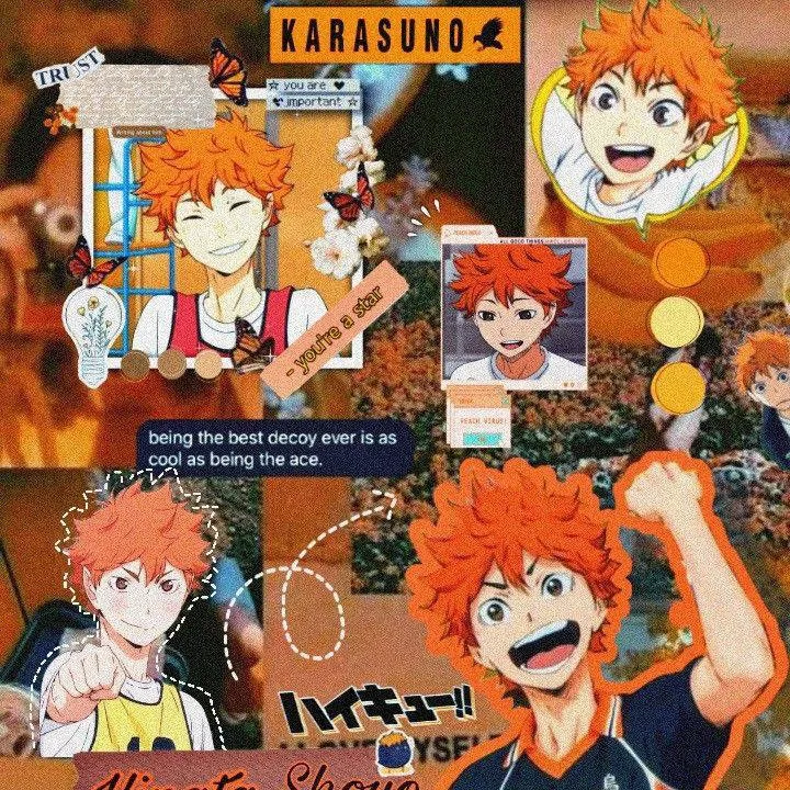 chat with ai character: 🧡Shoto Hinata🏐