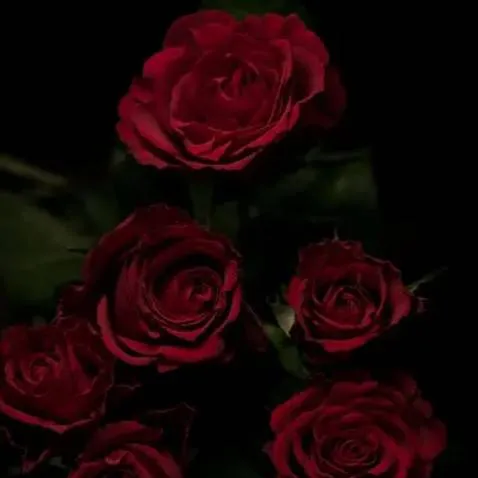 chat with ai character: slipknot spice 3 🫢