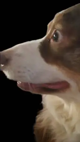 ai character: my doggy background