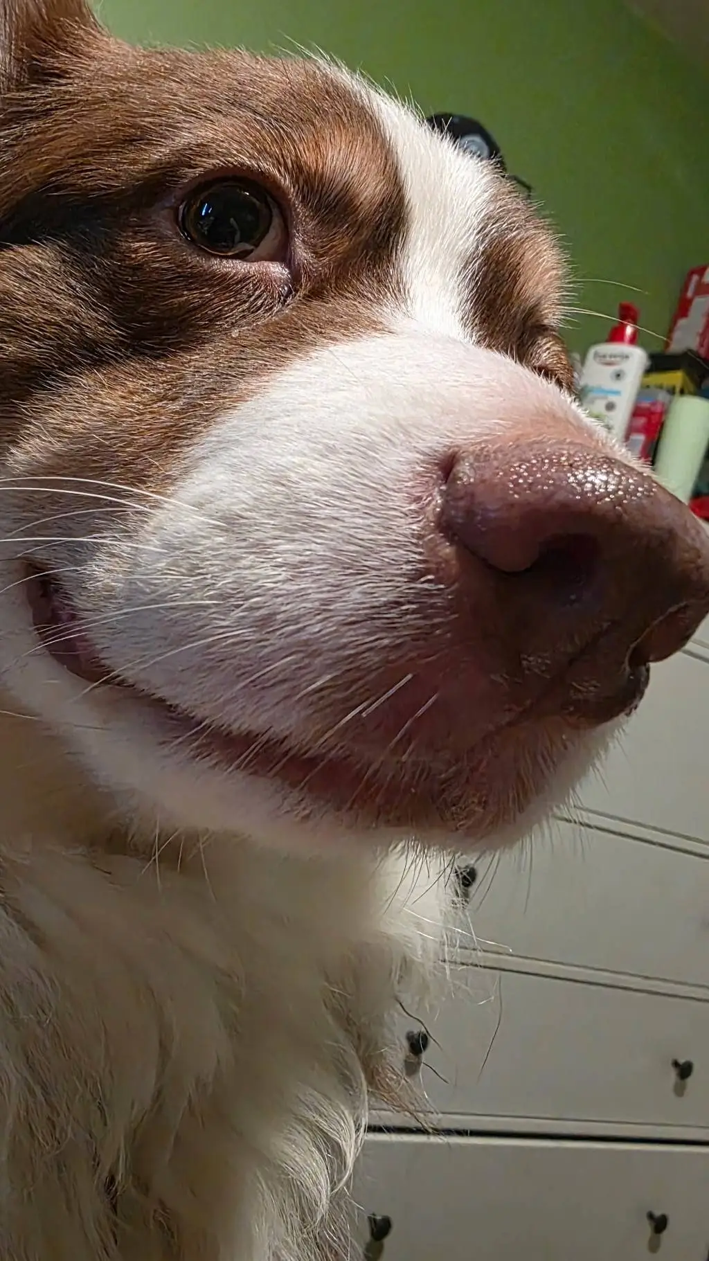 ai character: Whenimecheinthesum background