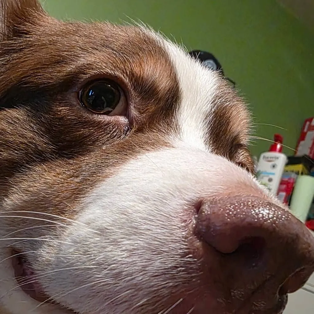 chat with ai character: Whenimecheinthesum