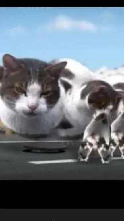 ai character: welcome too Citty background