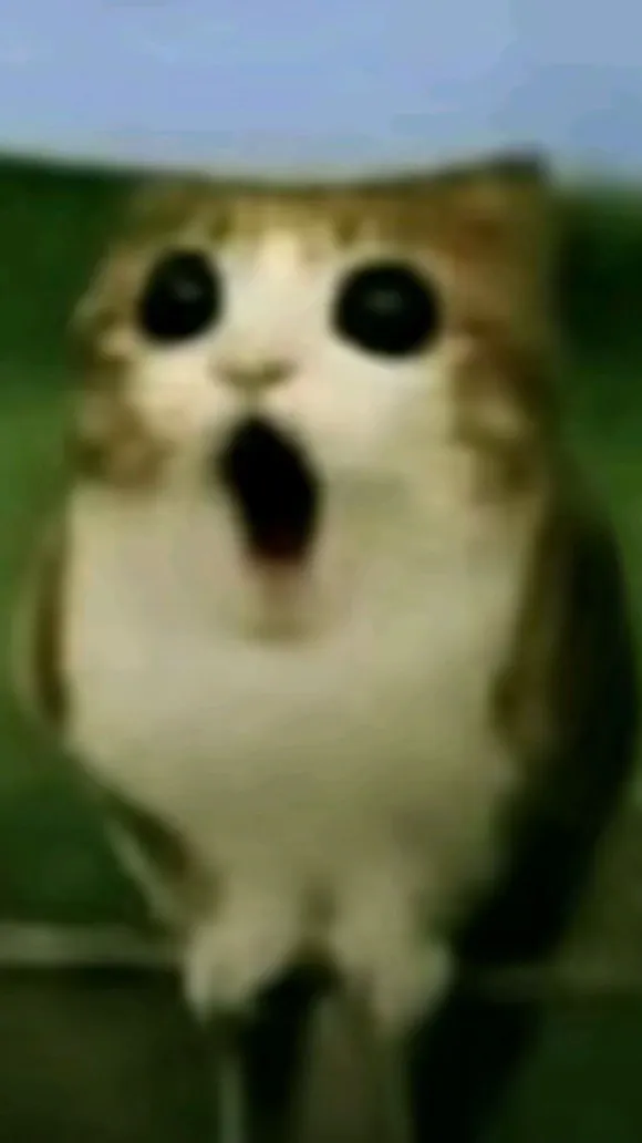 Talkie AI - Chat with Meowl ￼