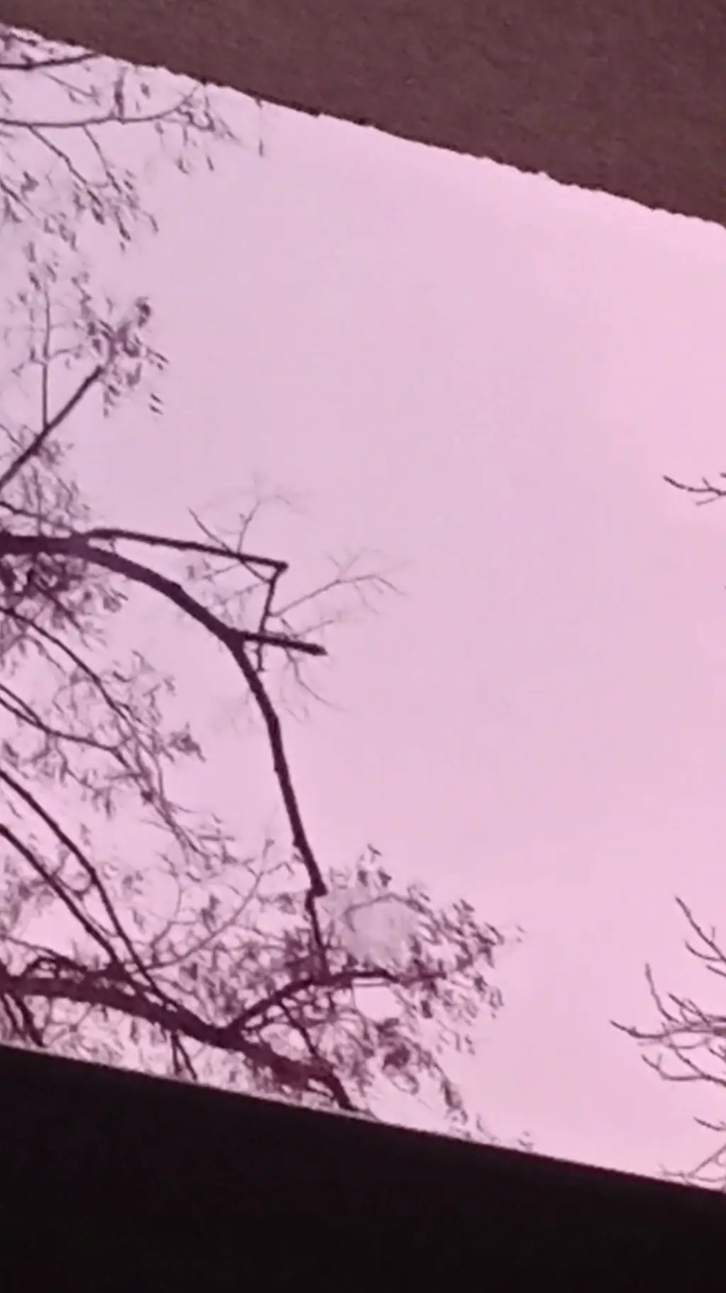 ai character: cod background