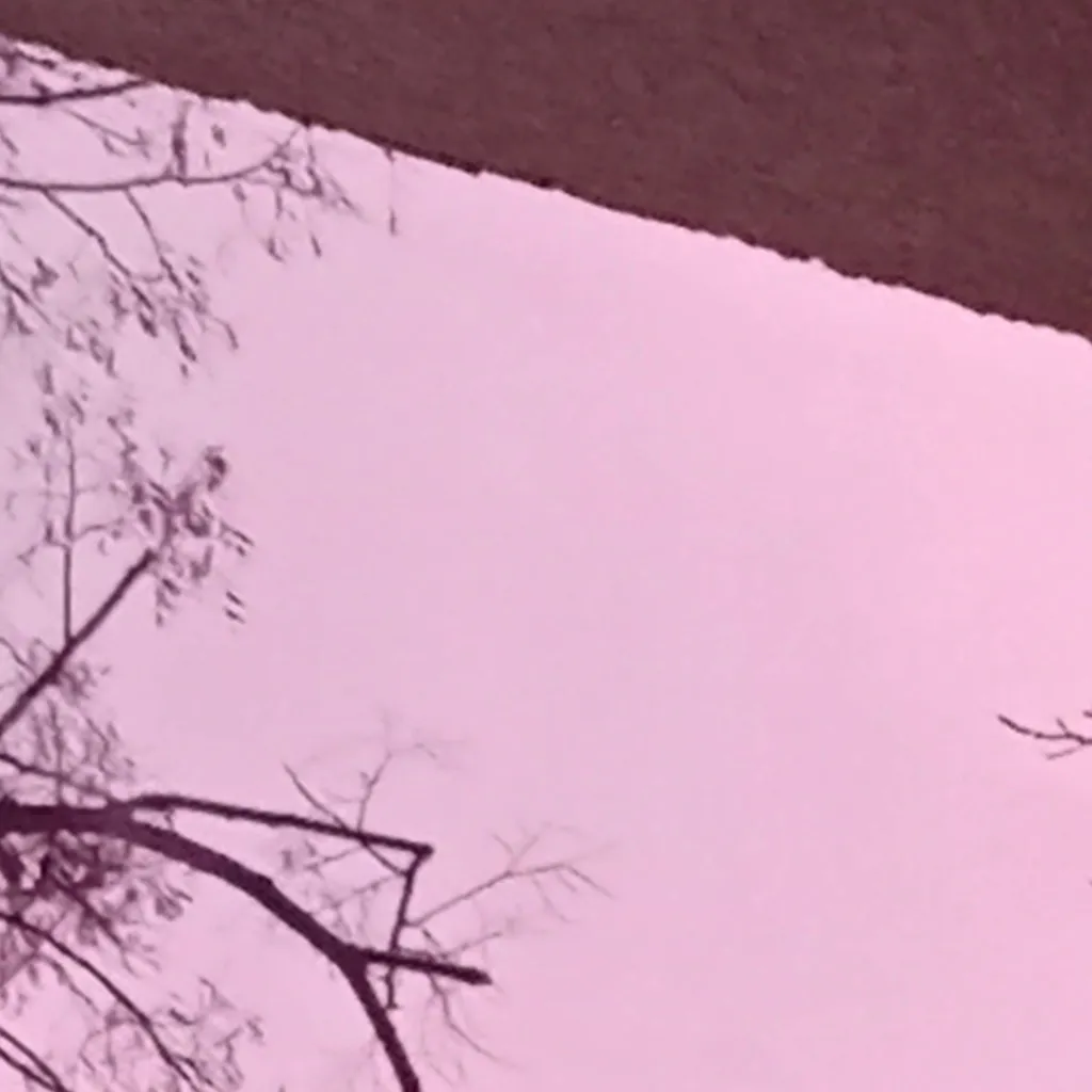 chat with ai character: cod