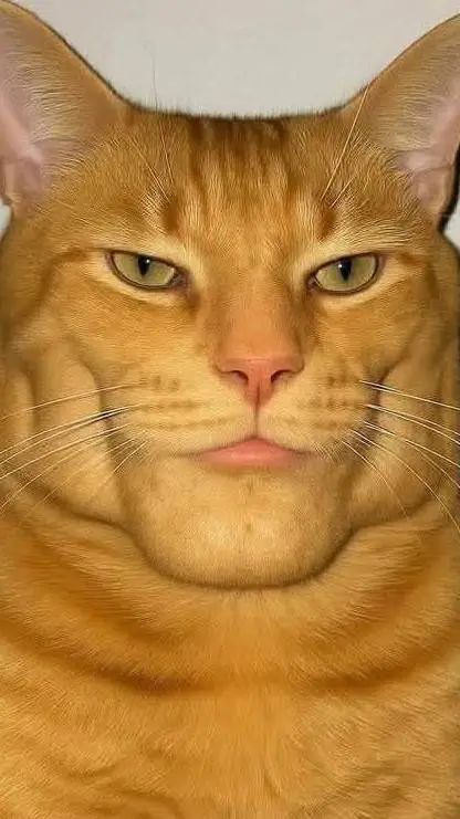 ai character: Sigma Cat background