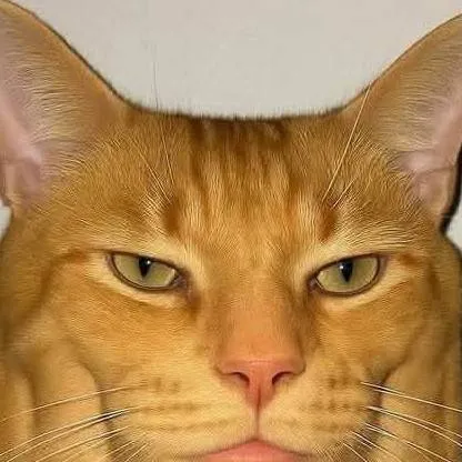 chat with ai character: Sigma Cat