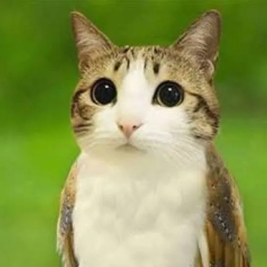 chat with ai character: Tu Papá latino xd