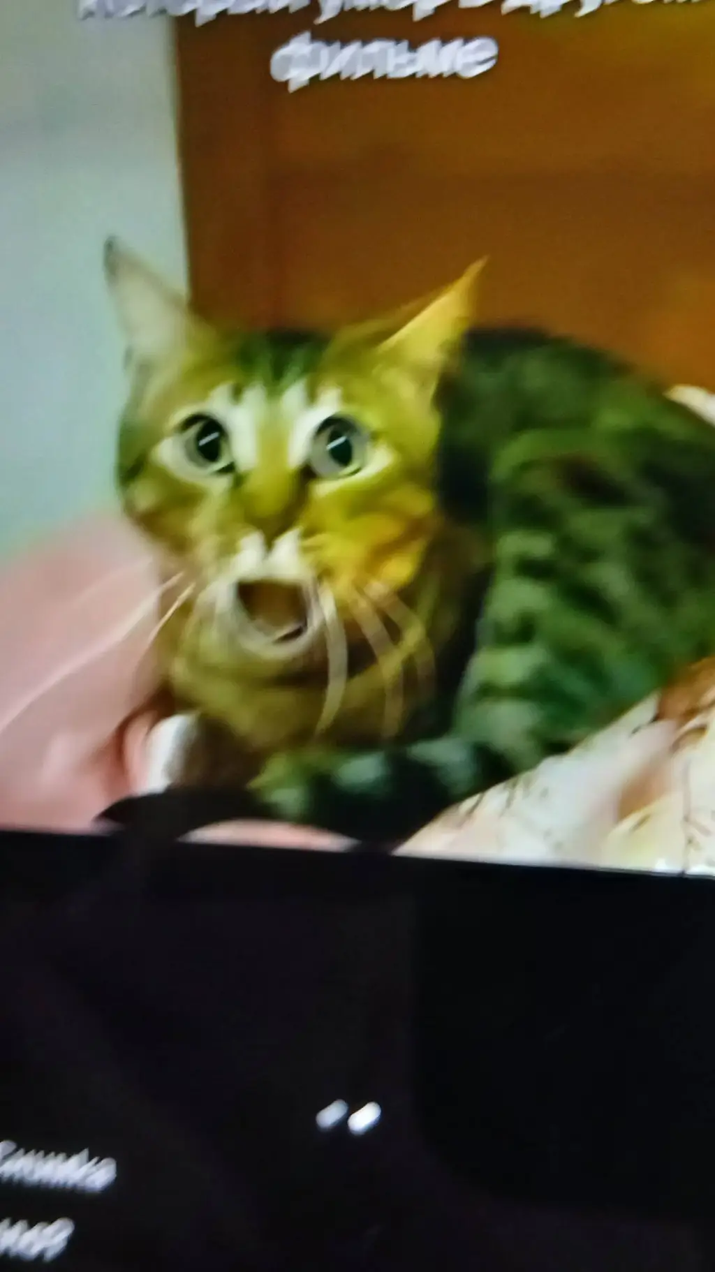 ai character: forsaken club:D background