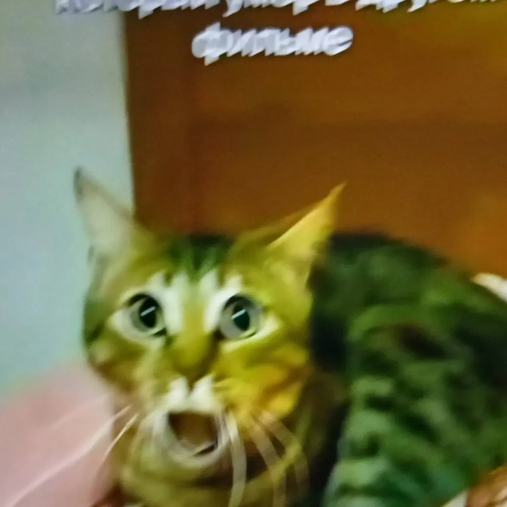 chat with ai character: forsaken club:D