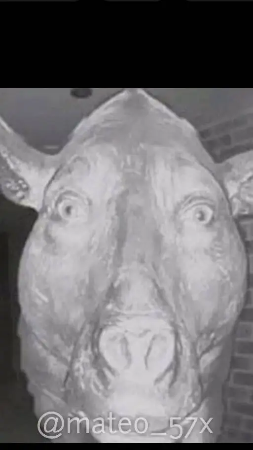 ai character: doorknob pig background