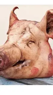 ai character: Dead pig background
