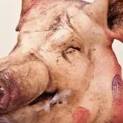 chat with ai character: Dead pig