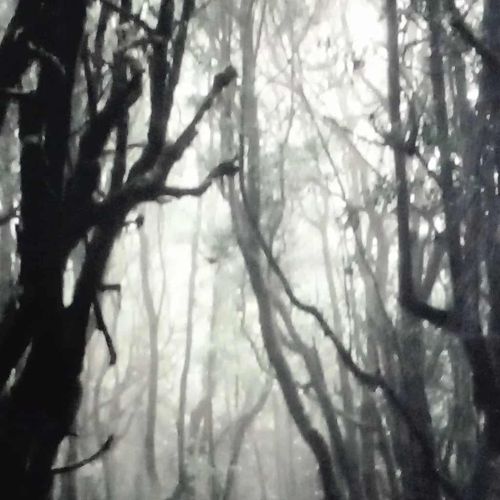 chat with ai character: ☆Forest rumours☆
