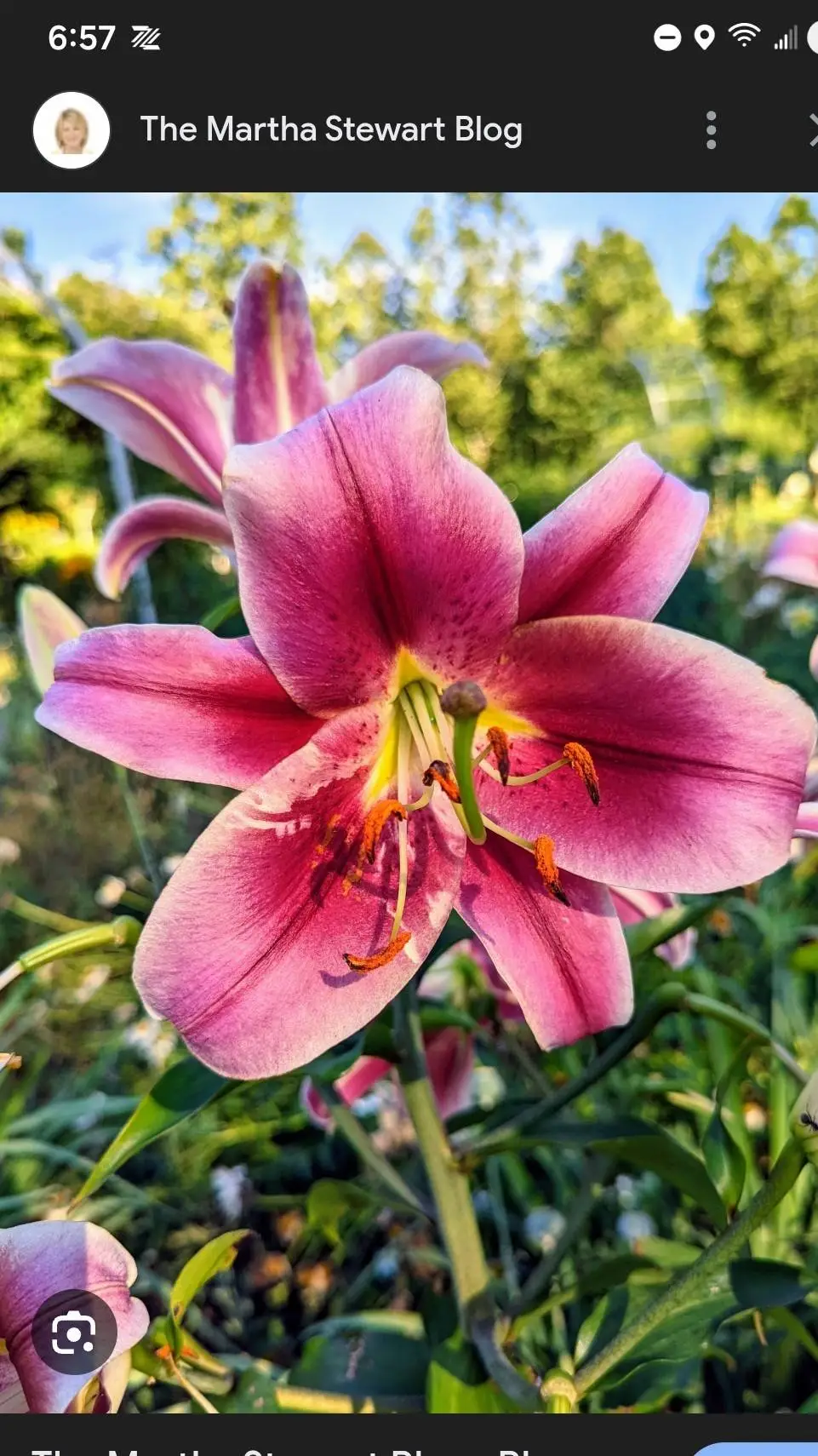 ai character: ARMY_SOUL🎀🥀 background