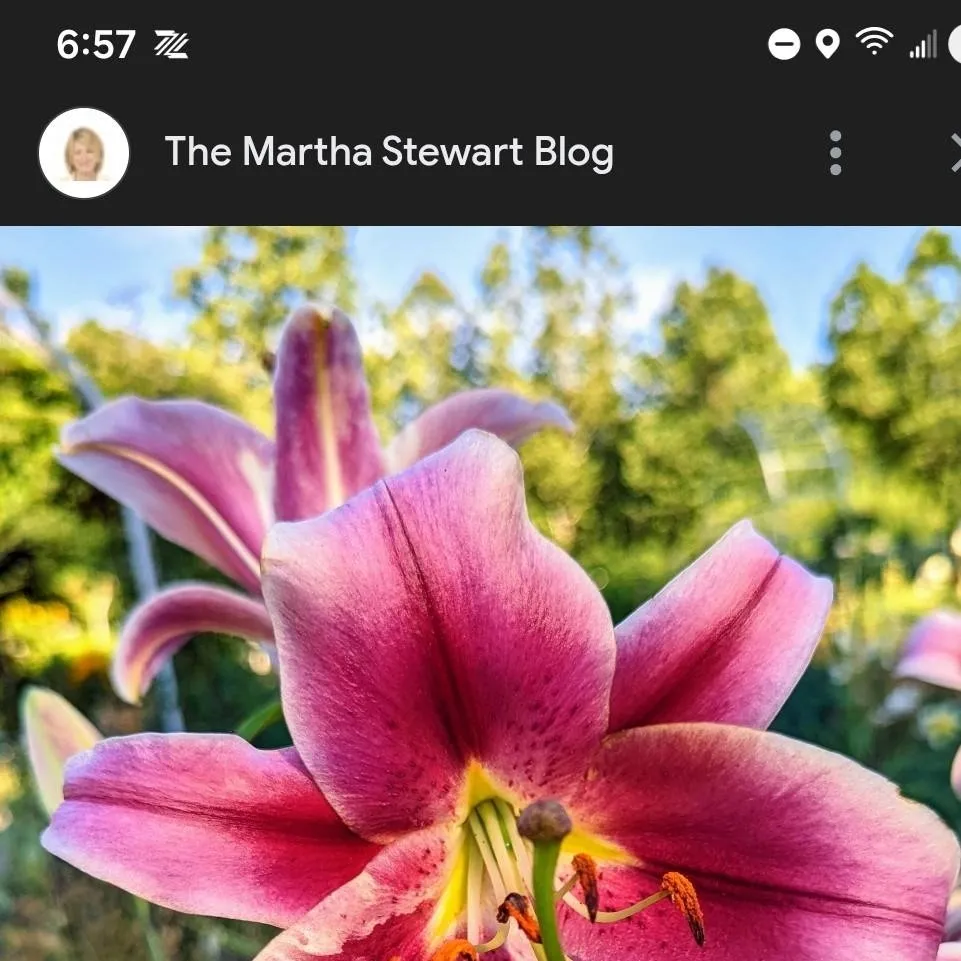 chat with ai character: ARMY_SOUL🎀🥀