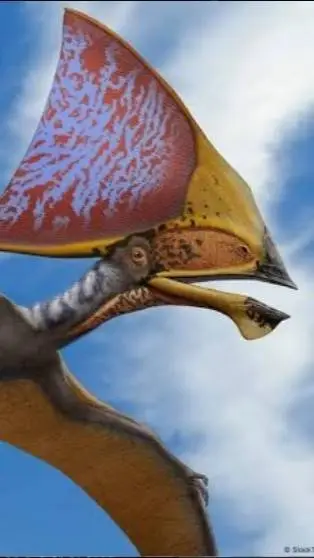 ai character: tapejara background