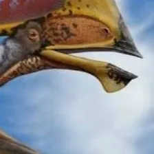 chat with ai character: tapejara