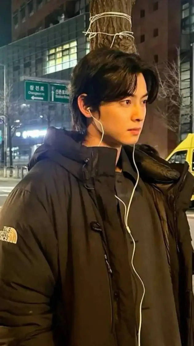 ai character: cha eun woo background