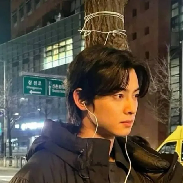 chat with ai character: cha eun woo