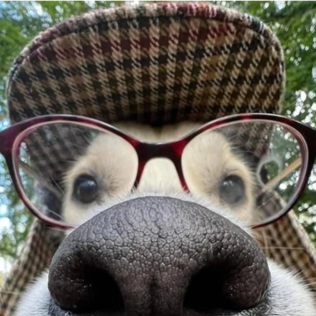 chat with ai character: nerd dog