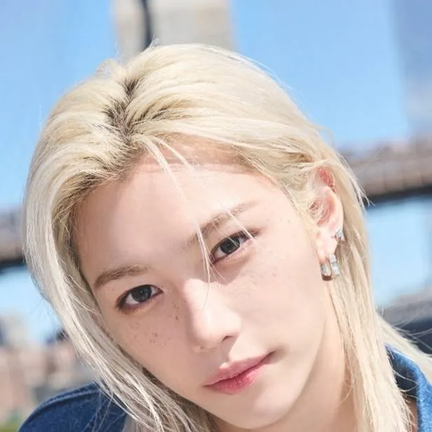chat with ai character: Stray kids