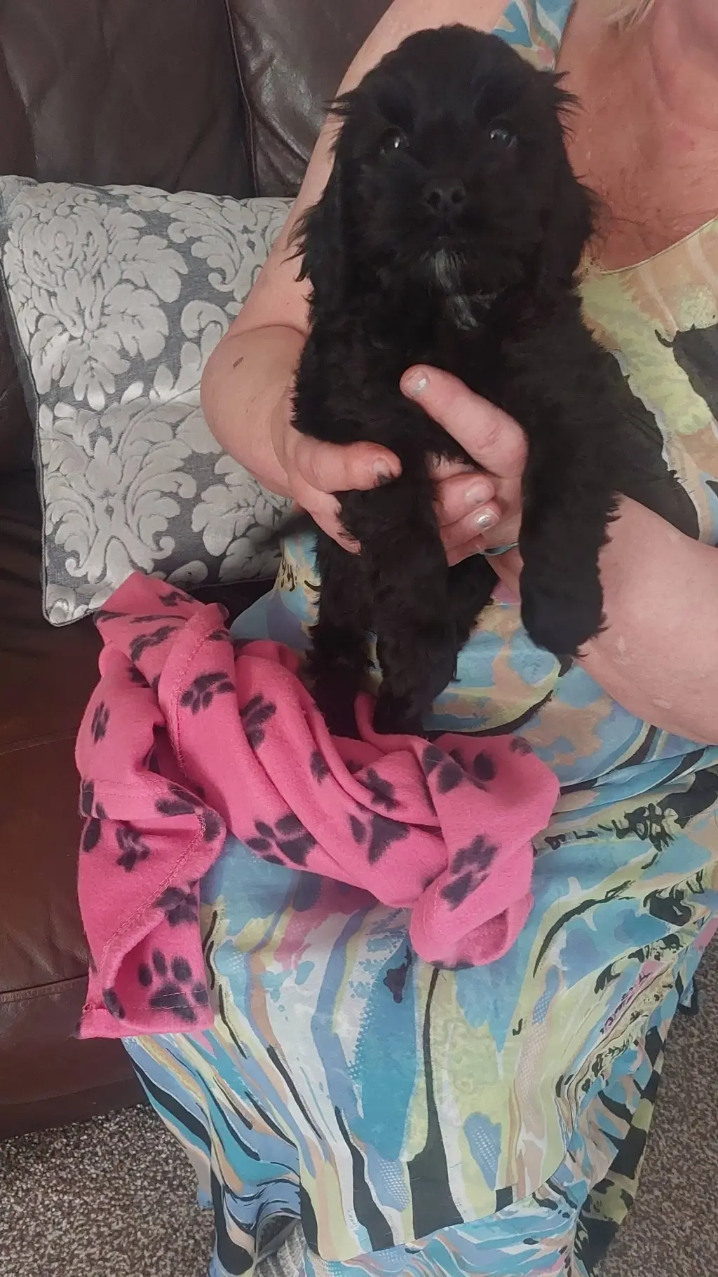 ai character: Sophie background