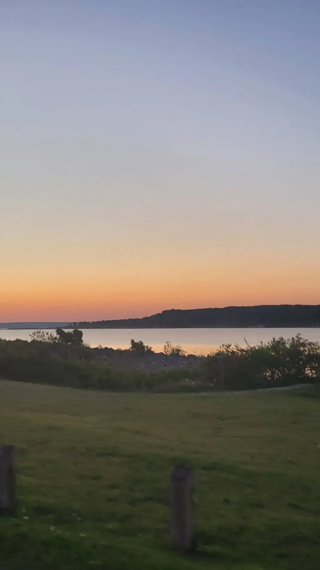 Talkie AI - Chat with Nicole 