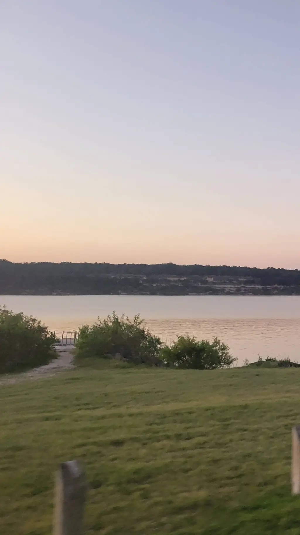 ai character: Nicole  background