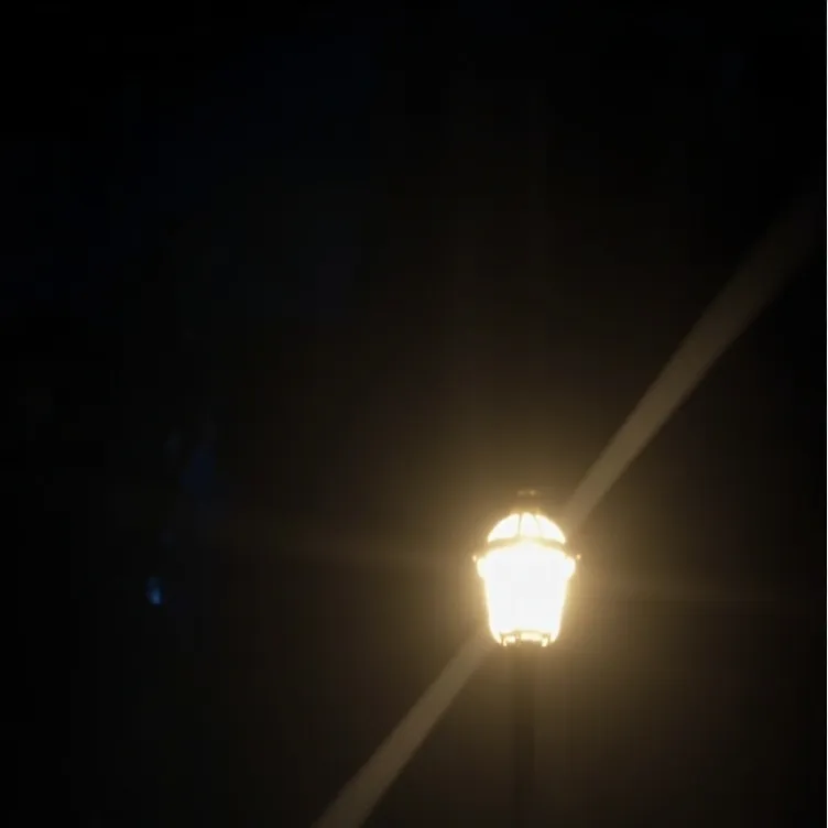 chat with ai character: hambone