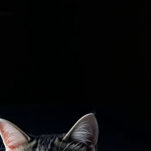 chat with ai character: Sukuna's cat