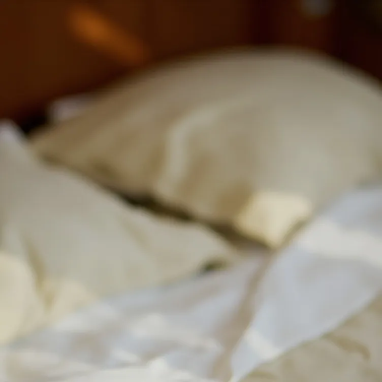 chat with ai character: sleep over.