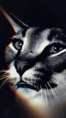 ai character: Amin Wake background