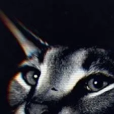 chat with ai character: Amin Wake