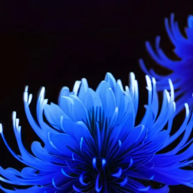 chat with ai character: Talkiex0qRqt